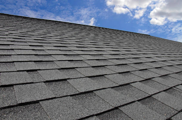 Best Roof Insulation Installation  in West Belmar, NJ